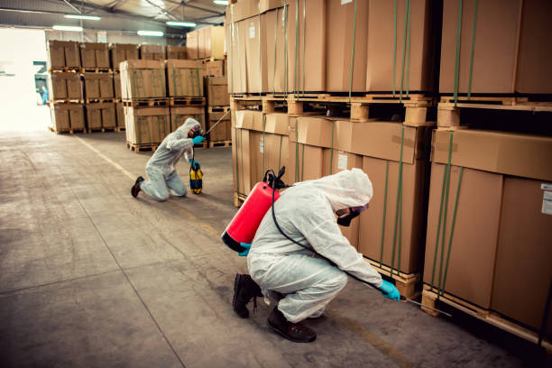 Best Residential Pest Control  in Boonton, NJ