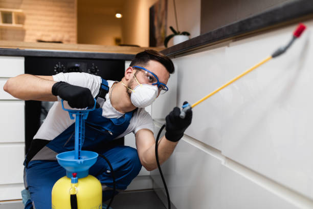 Best Affordable Pest Control Services  in Boonton, NJ