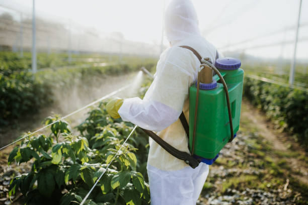 Professional Pest Control in Boonton, NJ